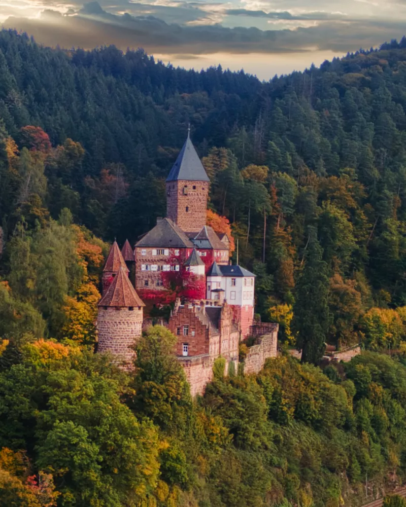 Średniowieczny zamek w lesie Odenwald