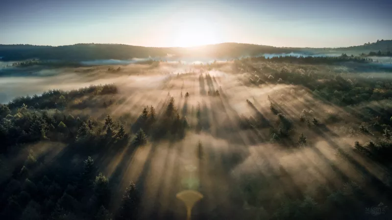 Sun rays passing through trees in the mountains