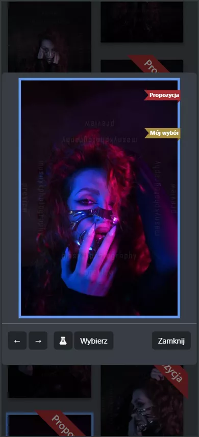 Mobile Ansicht der Software zur Fotoanzeige für Kunden