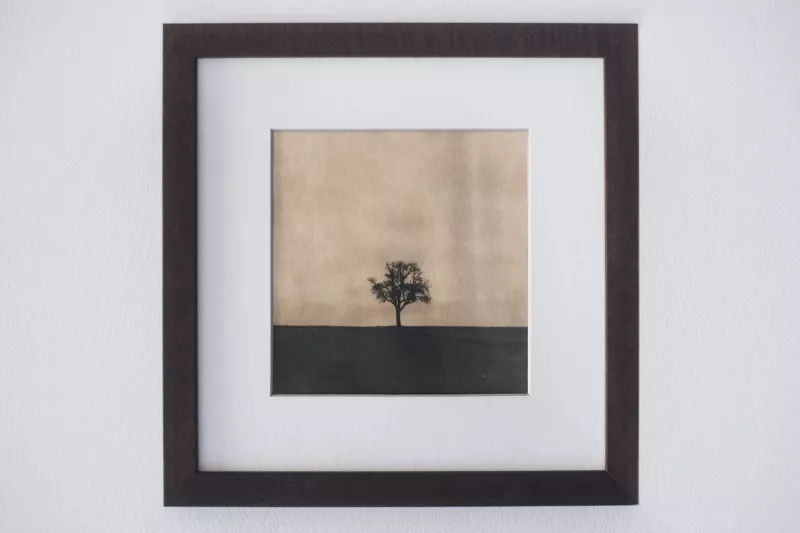 Gerahmte Cyanotypie-Kunst eines einsamen Baumes in minimalistischer Landschaft
